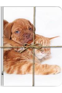 Green Booklets (Triple Pack) - Frenemies