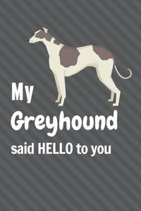 My Greyhound said HELLO to you