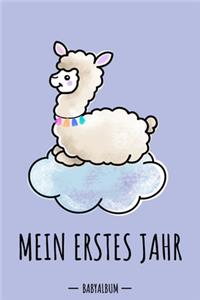 Mein erstes Jahr Babyalbum