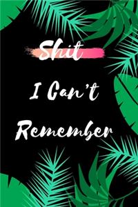 Shit I Can't Remember