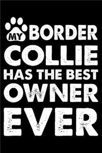 My Border Collie Has The Best Owner Ever