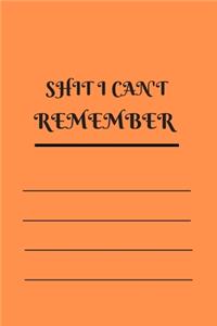 Shit I Can't Remember