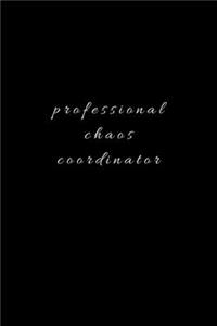 Professional Chaos Coordinator.
