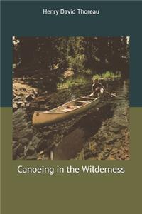 Canoeing in the Wilderness