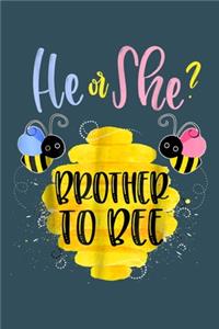 He or She Brother to bee