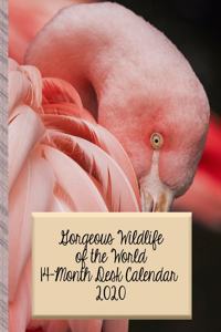 Gorgeous Wildlife of the World 14 Month Desk Calendar 2020