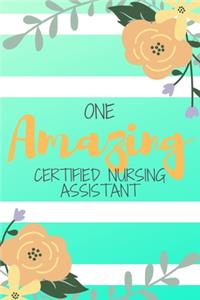 One Amazing Certified Nursing Assistant
