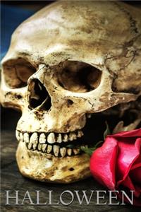 Halloween, Skull Notebook, Memory Book to Write or Draw , 6x9, 100 Beautiful Pages, Notes, Journal, Memory Book