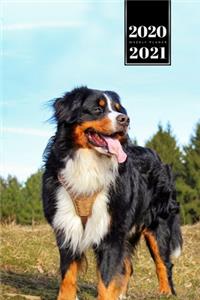 Bernese Mountain Dog Calendar Week Planner 2020 / 2021 - Observing Nature
