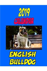 2019 Calendar English Bulldog