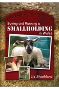 The Practical Guide to Buying and Running a Smallholding in Wales