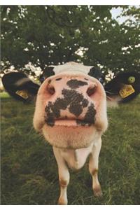 2019 Appointment Calendar