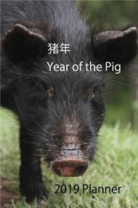 猪 年 Year of the Pig 2019 Planner