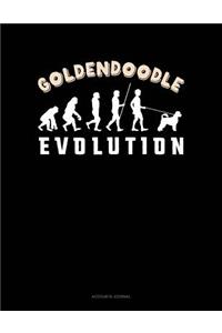 Goldendoodle Evolution