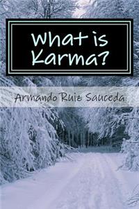 What Is Karma?