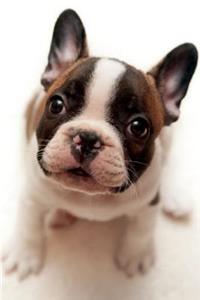 French Bulldog April Notebook & Journal. Productivity Work Planner & Idea Notepad