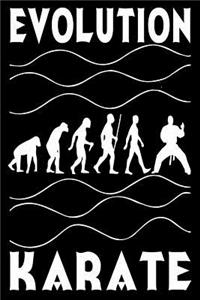 Evolution Karate