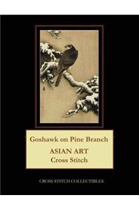 Goshawk on Pine Branch