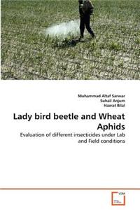 Lady bird beetle and Wheat Aphids