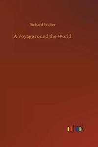 A Voyage round the World