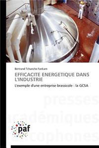 Efficacité Energétique Dans l'Industrie