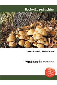 Pholiota Flammans