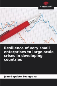 Resilience of very small enterprises to large-scale crises in developing countries