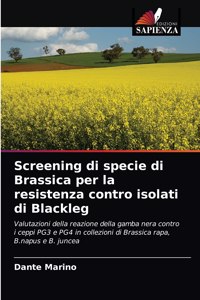 Screening di specie di Brassica per la resistenza contro isolati di Blackleg