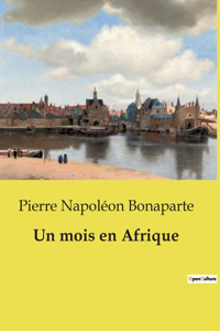 Un mois en Afrique