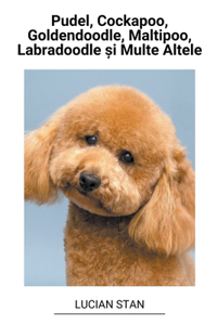Pudel, Cockapoo, Goldendoodle, Maltipoo, Labradoodle și Multe Altele