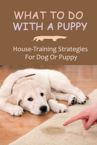 What To Do With A Puppy: House-Training Strategies For Dog Or Puppy: Potty Train A Puppy