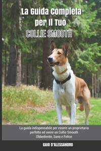 Guida Completa per Il Tuo Collie Smooth