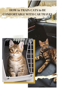 HOW tо TRAIN CATS tо BE COMFORTABLE WITH CAR TRAVEL
