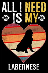 All I Need Is My Labernese