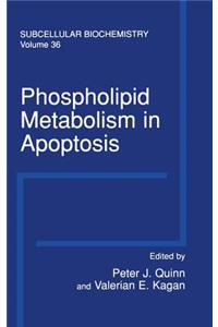 Phospholipid Metabolism in Apoptosis