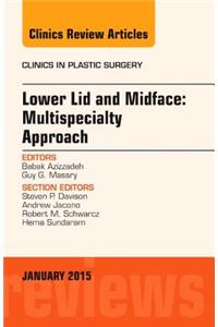 Lower Lid and Midface: Multispecialty Approach, an Issue of Clinics in Plastic Surgery