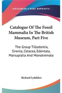 Catalogue Of The Fossil Mammalia In The British Museum, Part Five