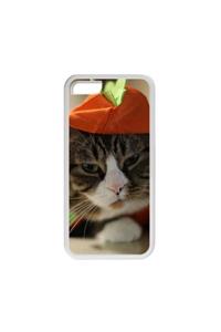 Political and Social Significance of the Life and Teachings of Jesus