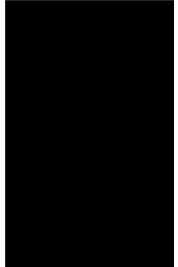 The Black Report
