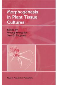 Morphogenesis in Plant Tissue Cultures