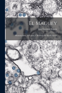 Maguey