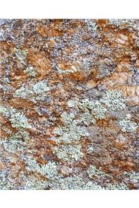 Stone Surface School Composition Book
