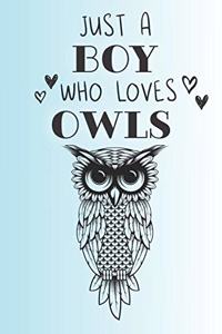 Just A Boy Who Loves Owls