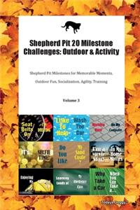 Shepherd Pit 20 Milestone Challenges
