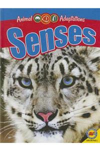 Senses