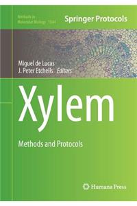 Xylem