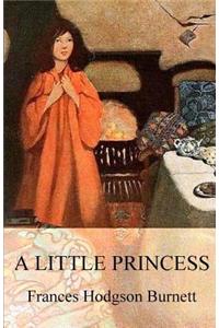 A Little Princess (Illustrated)
