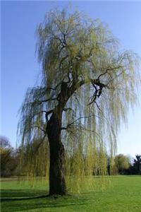 The Weeping Willow Tree Journal: 150 Page Lined Notebook/Diary