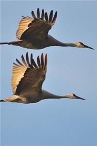Two Sandhill Cranes Bird Journal