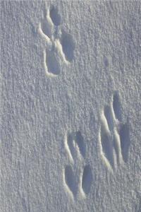 Journal Animal Tracks Paw Prints Snow